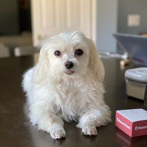 Meet your Posher, Jane